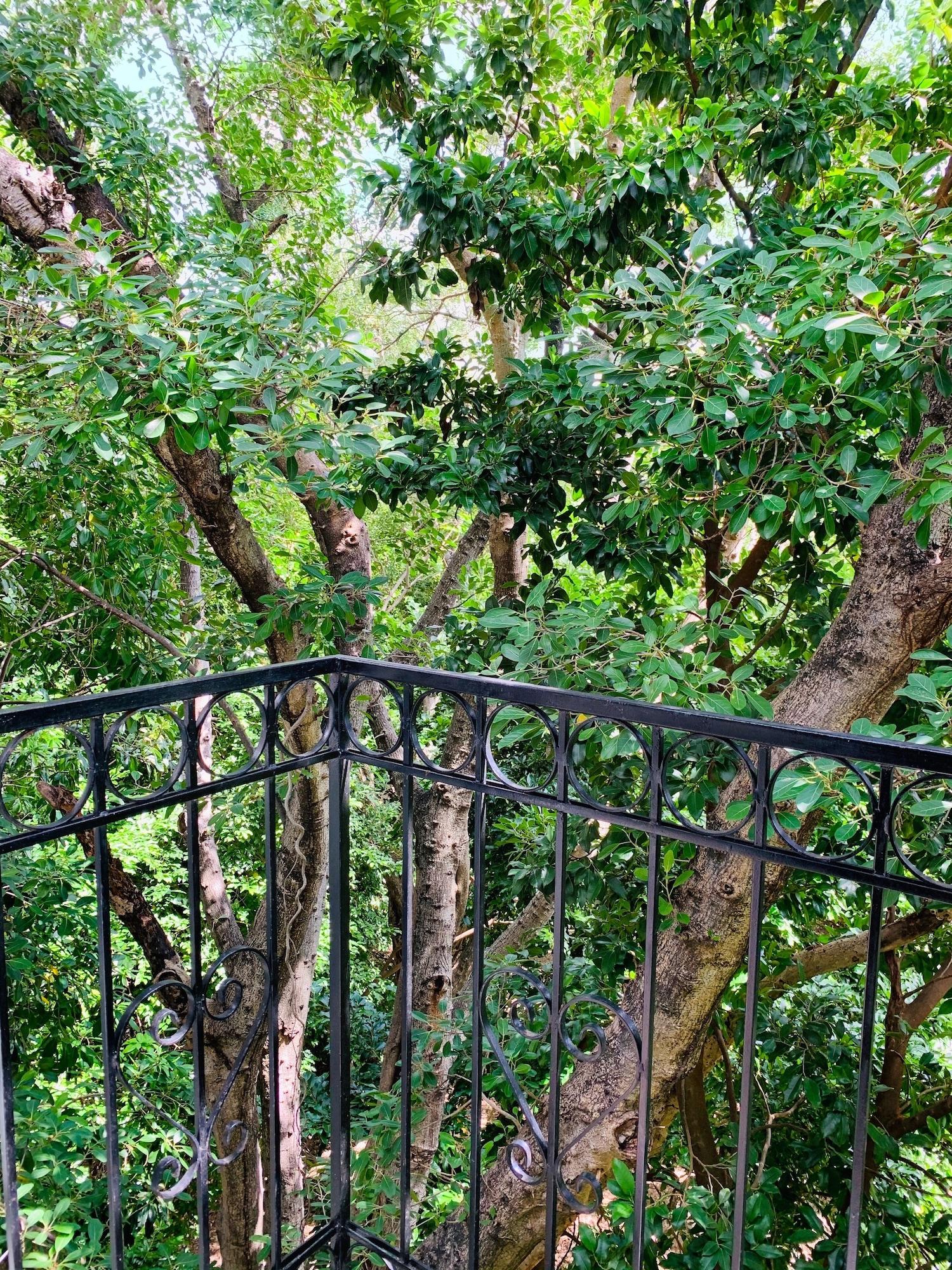 Villa Antilope Cancun Bagian luar foto